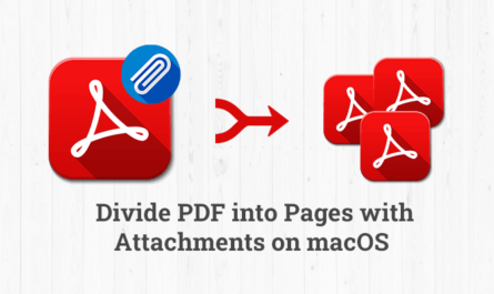 Divide PDF into Pages