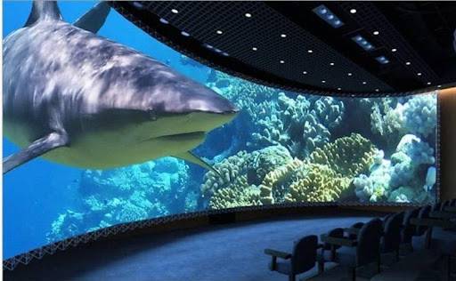 How to Use Video Wall Technology in Your Company?