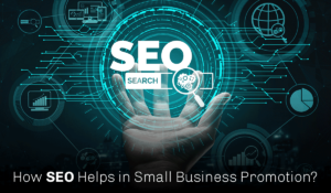 SEO Small Business