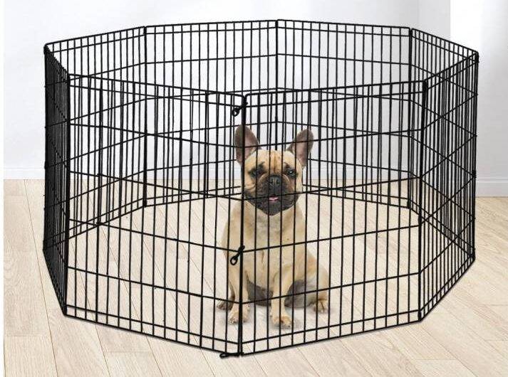 Things to consider Buying Plastic Pet Playpen in GlobalSourcing