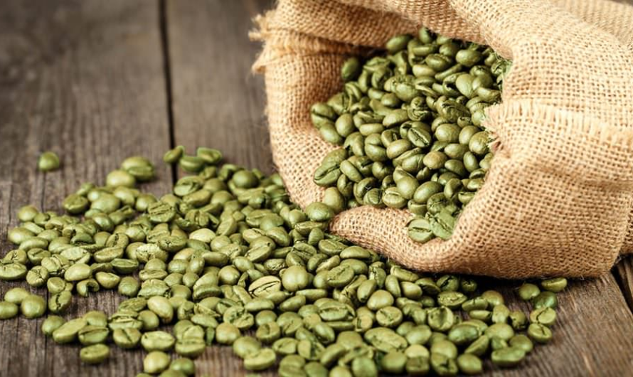 How Green Coffee Helps in Weight Loss