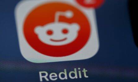 How to Access Deleted Reddit Posts