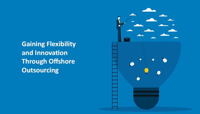 Gaining Flexibility and Innovation Through Offshore Outsourcing
