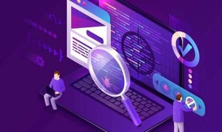 Custom Software Development